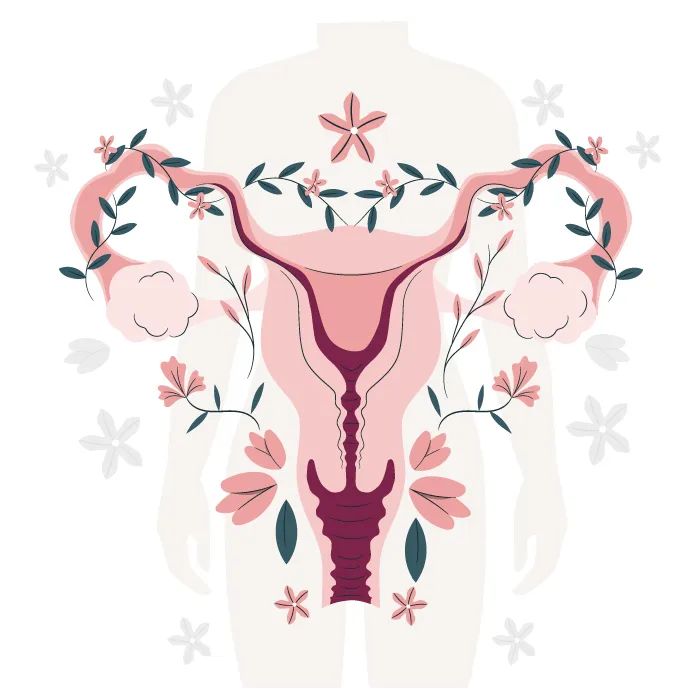 Women’s Pelvic Health: Strength, Balance, and Lifelong Wellness
